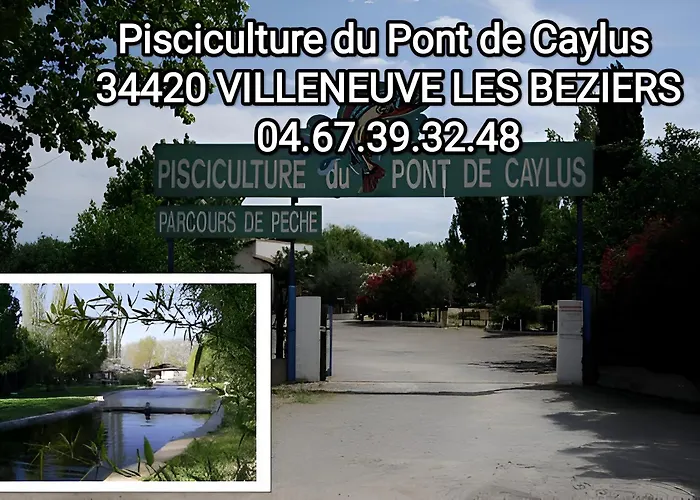 Tiny House 1, 2 Ou 3 Personnes Soeursgrises Beziers Centre Historique Coeur De L'Herault Occitanie, Plus Vieille Ville De France, Chemin De Compostelle A Pied Ou Velo, Passeport Du Pelerin 24H, Petits Dejeuners Et Repas, 300M Du Centre Ville
